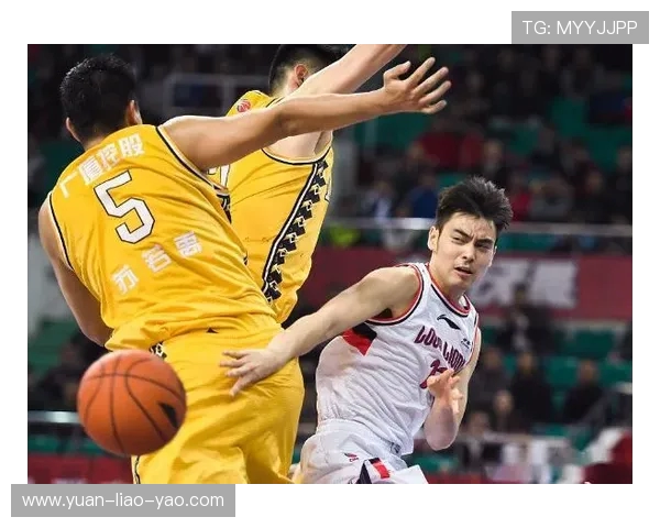 赵睿的篮球之路从青涩少年到CBA明星的成长故事与奋斗历程